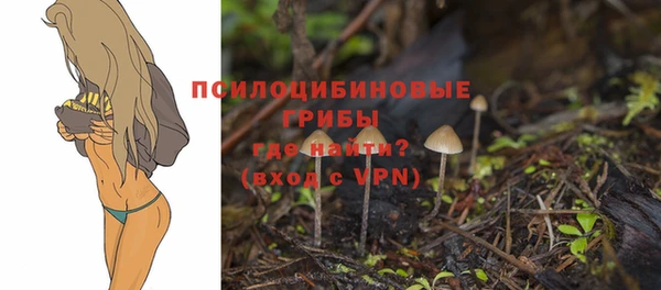 МДПВ Беломорск