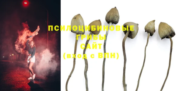 прущая мука Белоозёрский